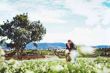 Dalat Wedding - INDIE Wedding Photography - Hình 2