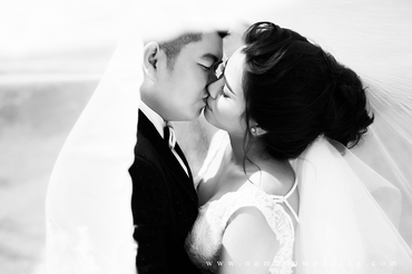 Tươi mát với bộ ảnh cưới đồi chè Đông Giang - NamDoo Wedding Studio - Hình 6
