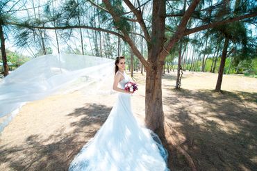 Album cưới Hồ Cốc + Vũng Tàu - Studio Wedding House - Hình 19