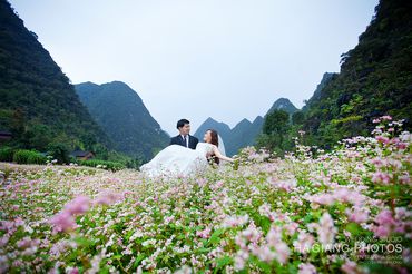 Album ảnh cưới Cao Nguyên Đá - Đồng Văn - Hà Giang - Hà Giang Photos - Hình 15