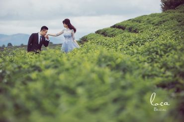 Ảnh cưới đẹp Hội An siêu cổ điển, siêu Tây !!! - Thịnh Soon Wedding Photography - Hình 11