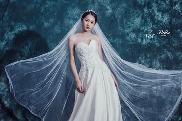 BST Korean Princess Wedding Dress - Bella Bridal Viet Nam - Hình 2