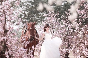 Ảnh cưới đẹp - Chụp Ảnh Cưới Bắc Ninh - Áo Cưới Nguyễn Ước - Hình 8