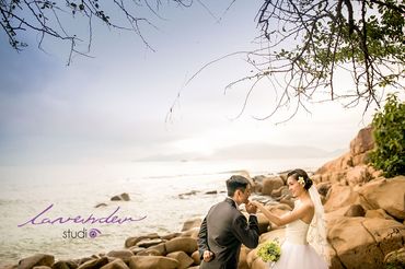 Album Cưới Nha Trang | Pre-wedding - Lavender Wedding & Events - Hình 6