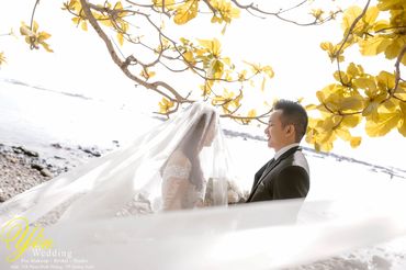 Album ngoại thành - Mỹ Khê & Ba Tân Gân - Áo cưới Yến Wedding - Hình 42