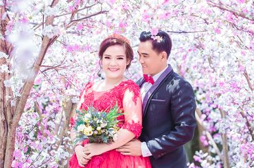 Album Phim Trường Chicago - Anna Wedding - Hình 2