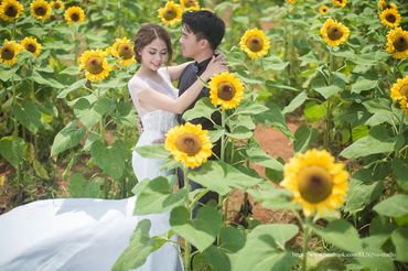 Album Đà Lạt - ELNiNo Studio - Hình 8