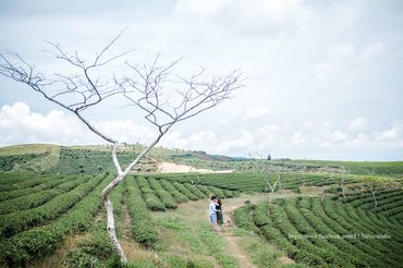 Album Đà Lạt - ELNiNo Studio - Hình 10