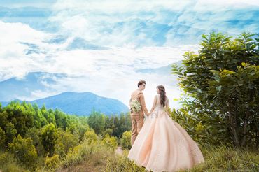 Album " Tình cốc " - Yumi Wedding - Hình 65