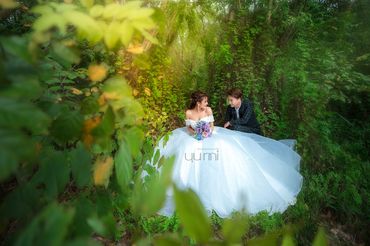 Album " Tình cốc " - Yumi Wedding - Hình 15