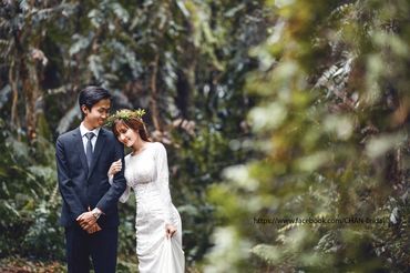 album hồ cốc - CHAN Bridal - Hình 22