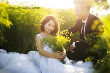 album hồ cốc - CHAN Bridal - Hình 49