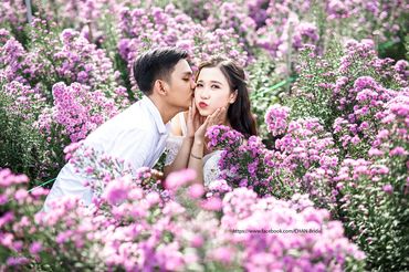 album hồ cốc - CHAN Bridal - Hình 81
