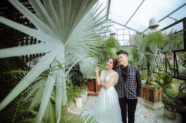 Ảnh Cưới Phim trường - Camellia Wedding - Hình 7