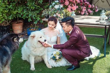 Album cưới đẹp phim trường Endee Graden - Bee Nguyen Bridal - Hình 7