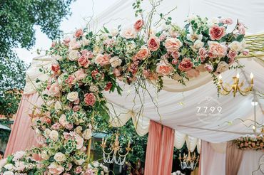 Cổng hoa - 7799 Wedding StoryTeller - Hình 13