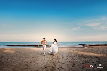 Mùa hoa cưới - Lan Rừng resort  Phước Hải Beach - Hình 3