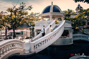 Mùa hoa cưới - Lan Rừng resort  Phước Hải Beach - Hình 23