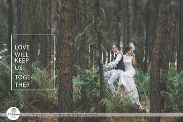 Album ảnh cưới đẹp tại Đại Lại resort flamingo Mimosa Wedding - Mimosa Wedding - Hình 1