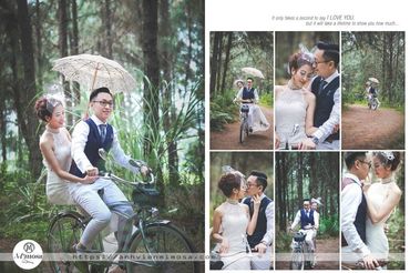 Album ảnh cưới đẹp tại Đại Lại resort flamingo Mimosa Wedding - Mimosa Wedding - Hình 24