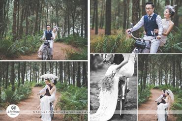 Album ảnh cưới đẹp tại Đại Lại resort flamingo Mimosa Wedding - Mimosa Wedding - Hình 10