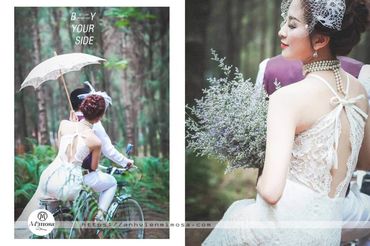 Album ảnh cưới đẹp tại Đại Lại resort flamingo Mimosa Wedding - Mimosa Wedding - Hình 14