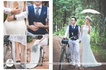 Album ảnh cưới đẹp tại Đại Lại resort flamingo Mimosa Wedding - Mimosa Wedding - Hình 23