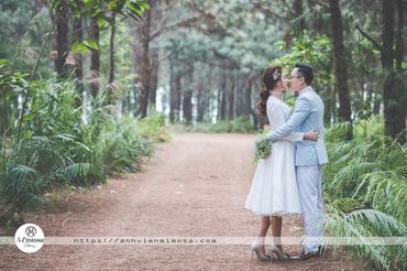 Album ảnh cưới đẹp tại Đại Lại resort flamingo Mimosa Wedding - Mimosa Wedding - Hình 20