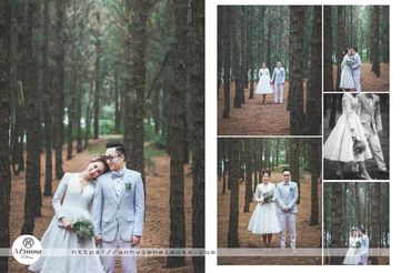 Album ảnh cưới đẹp tại Đại Lại resort flamingo Mimosa Wedding - Mimosa Wedding - Hình 15