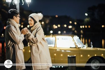 Album ảnh cưới concept mùa đông - Mimosa Wedding - Hình 5