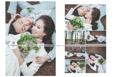 Album ảnh cưới đẹp tại Đại Lại resort flamingo Mimosa Wedding - Mimosa Wedding - Hình 13