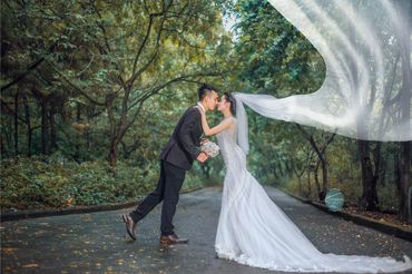 Cặp đôi chụp ảnh tại sầm sơn thanh hóa - Mr ' Trung Trần Wedding - Hình 4