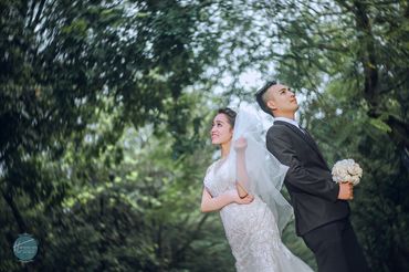 Cặp đôi chụp ảnh tại sầm sơn thanh hóa - Mr ' Trung Trần Wedding - Hình 5
