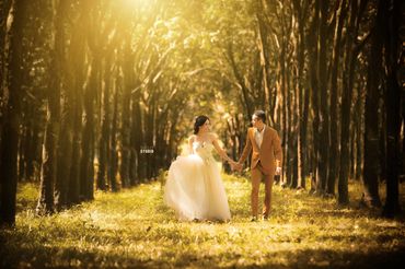 Ảnh cưới đẹp Long Hải - SHELLY STUDIO &amp; BRIDAL - Hình 4