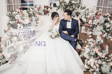 Ảnh Viện Áo Cưới Dream &amp; Co. Vĩnh Bảo - Ảnh Viện Áo Cưới Dream &amp; Co. Vĩnh Bảo - Hình 1