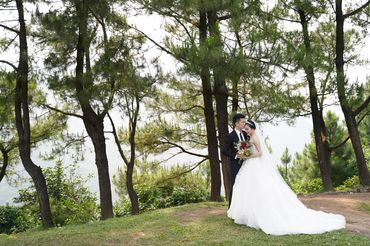 Rừng thông Hải Vân - Sweet Bouquet Bridal - Hình 18