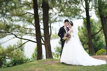 Rừng thông Hải Vân - Sweet Bouquet Bridal - Hình 16