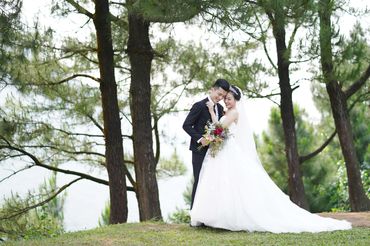 Rừng thông Hải Vân - Sweet Bouquet Bridal - Hình 7