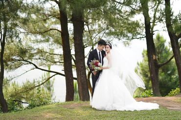 Rừng thông Hải Vân - Sweet Bouquet Bridal - Hình 13