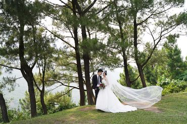 Rừng thông Hải Vân - Sweet Bouquet Bridal - Hình 15