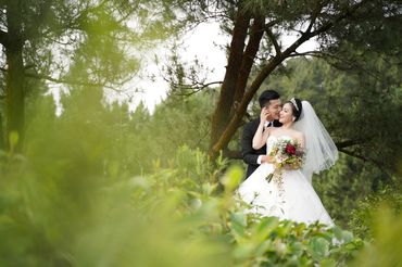 Rừng thông Hải Vân - Sweet Bouquet Bridal - Hình 11