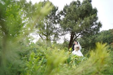 Rừng thông Hải Vân - Sweet Bouquet Bridal - Hình 25