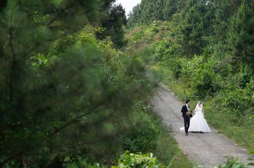 Rừng thông Hải Vân - Sweet Bouquet Bridal - Hình 10