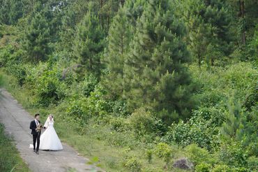 Rừng thông Hải Vân - Sweet Bouquet Bridal - Hình 14