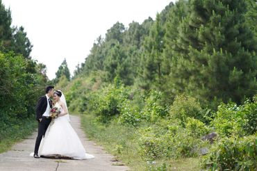Rừng thông Hải Vân - Sweet Bouquet Bridal - Hình 20