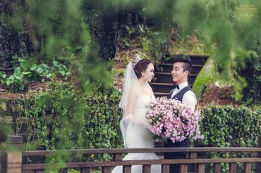 Đà Lạt - Thiên Đường Ảnh Cưới - Trương Tịnh Wedding - Hình 11