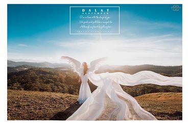 Chụp Album Cưới Đà Lạt chỉ với 12.500.000đ - Trương Tịnh Wedding - Hình 8