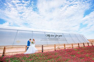 Ảnh cưới đẹp tại Đà Lạt - Trương Tịnh Wedding - Hình 26