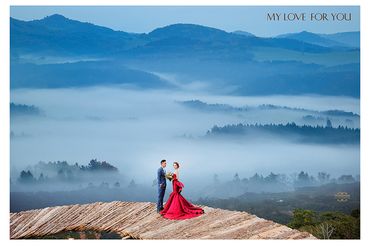 Ảnh cưới đẹp tại Đà Lạt - Trương Tịnh Wedding - Hình 16