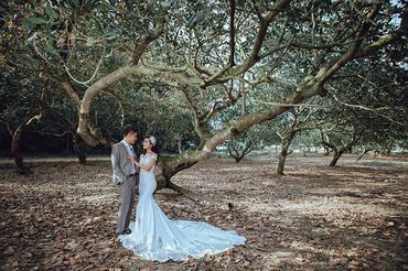 Trọn gói album cưới Đà Lạt thu Nhỏ tại Đồng Nai - Hệ thống cửa hàng dịch vụ ngày cưới ALEN - Hình 9